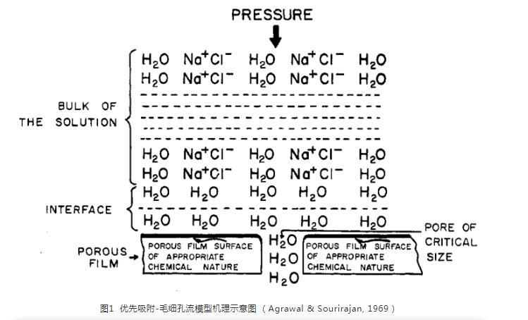 RO膜的有孔無孔之爭與過濾模型