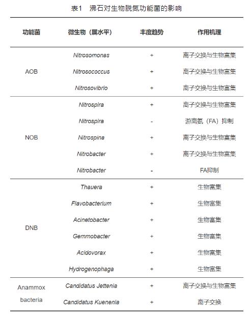 沸石聯合生物工藝在污水脫氮領域的最新研究進展